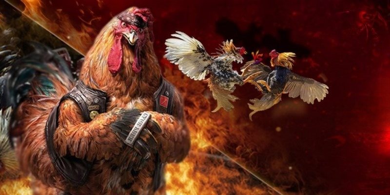 ÄÃ¡ GÃ  SV388 - SÃ¢n ChÆ¡i ÄÃ¡ GÃ  ThÃº Vá»‹ Vá»›i Tá»· Lá»‡ ThÆ°á»Ÿng Cao