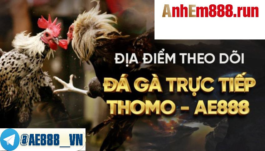 Tin tức Ae888 - Cập nhật nhưng tin tức hot nhất về Nhà cái