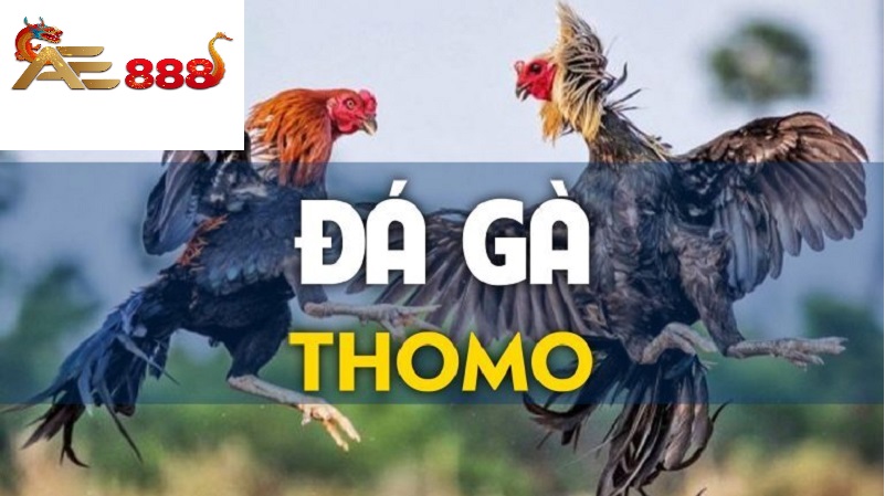Tin tức Ae888 - Cập nhật nhưng tin tức hot nhất về Nhà cái