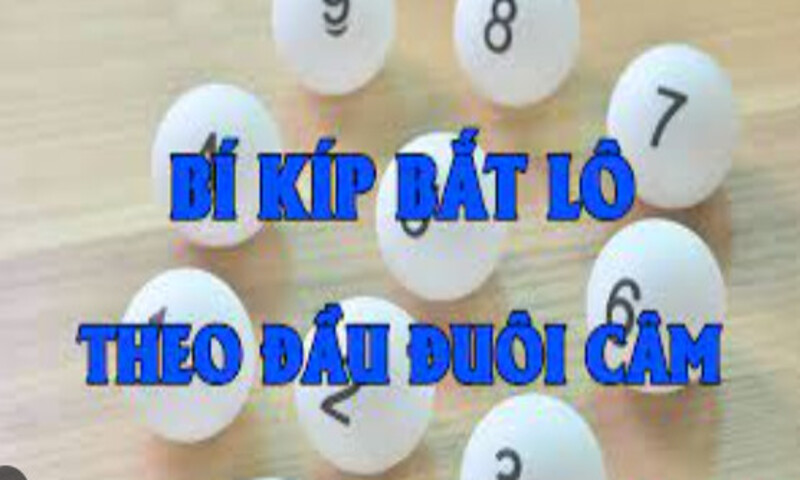 Soi Cầu Äặc Biệt Hôm Nay - Tìm Hiểu Cách Soi Cầu Hay Hiệu Quả Soi Cầu Äặc Biệt Hôm Nay - Tìm Hiểu Cách Soi Cầu Hay Hiệu Quả