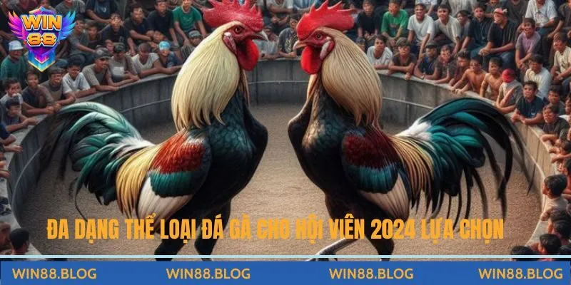 Đá Gà - Đấu Trường Chọi Kê Đỉnh Cao Hấp Dẫn Tại Nhà Cái