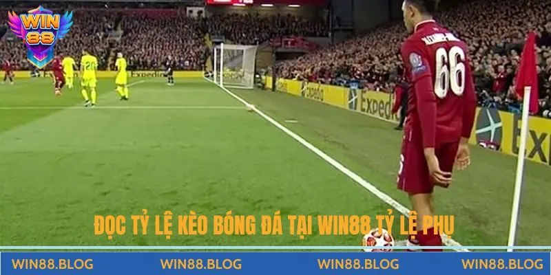 Hướng Dẫn Cách Đọc Tỷ Lệ Kèo Bóng Đá Tại Win88 Từ A-Z