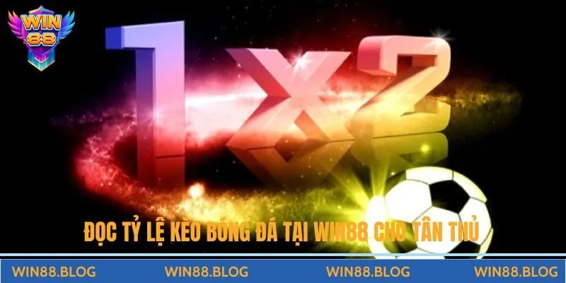 Hướng Dẫn Cách Đọc Tỷ Lệ Kèo Bóng Đá Tại Win88 Từ A-Z