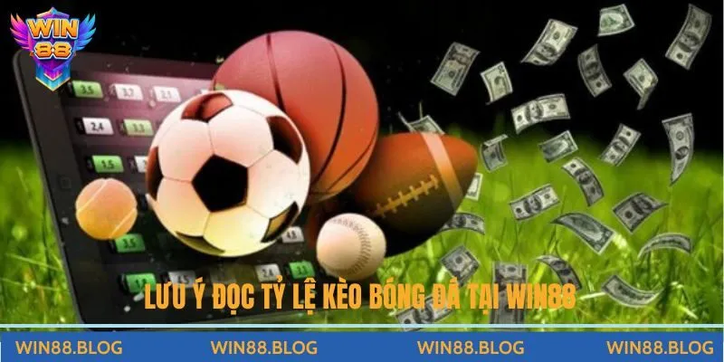 Hướng Dẫn Cách Đọc Tỷ Lệ Kèo Bóng Đá Tại Win88 Từ A-Z