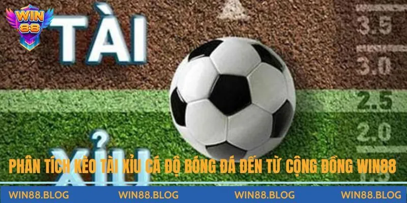 Thể Thao - Chuyên Mục Game Cá Cược Đỉnh Cao Hiện Nay
