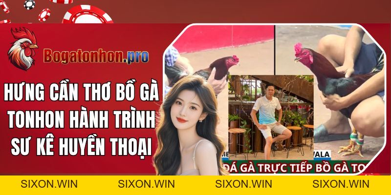 ÄÃ¡ GÃ  Philippin: Háº¥p Dáº«n, Äá»™c ÄÃ¡o VÃ  KhÃ´ng Thá»ƒ Bá» Qua