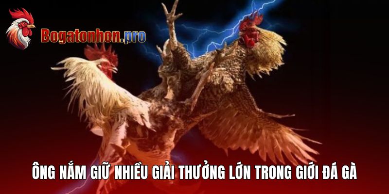 Bồ Gà Tonhon - Hưng Cần Thơ Và Hành Trình Sư Kê Huyền Thoại