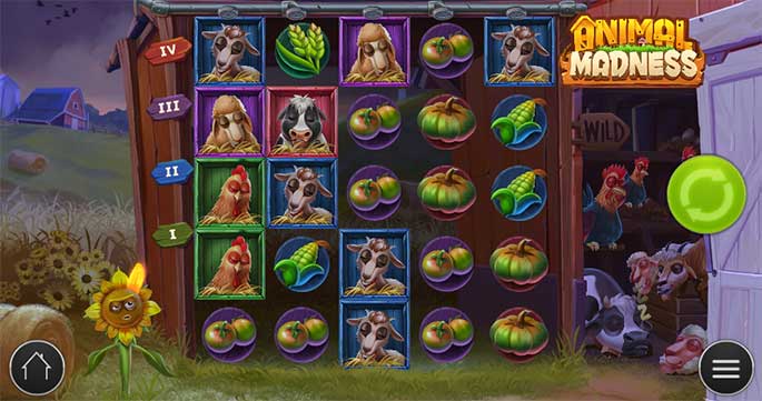 Animal Madness - Slot game top đầu tại nhà phát hành GO - M88