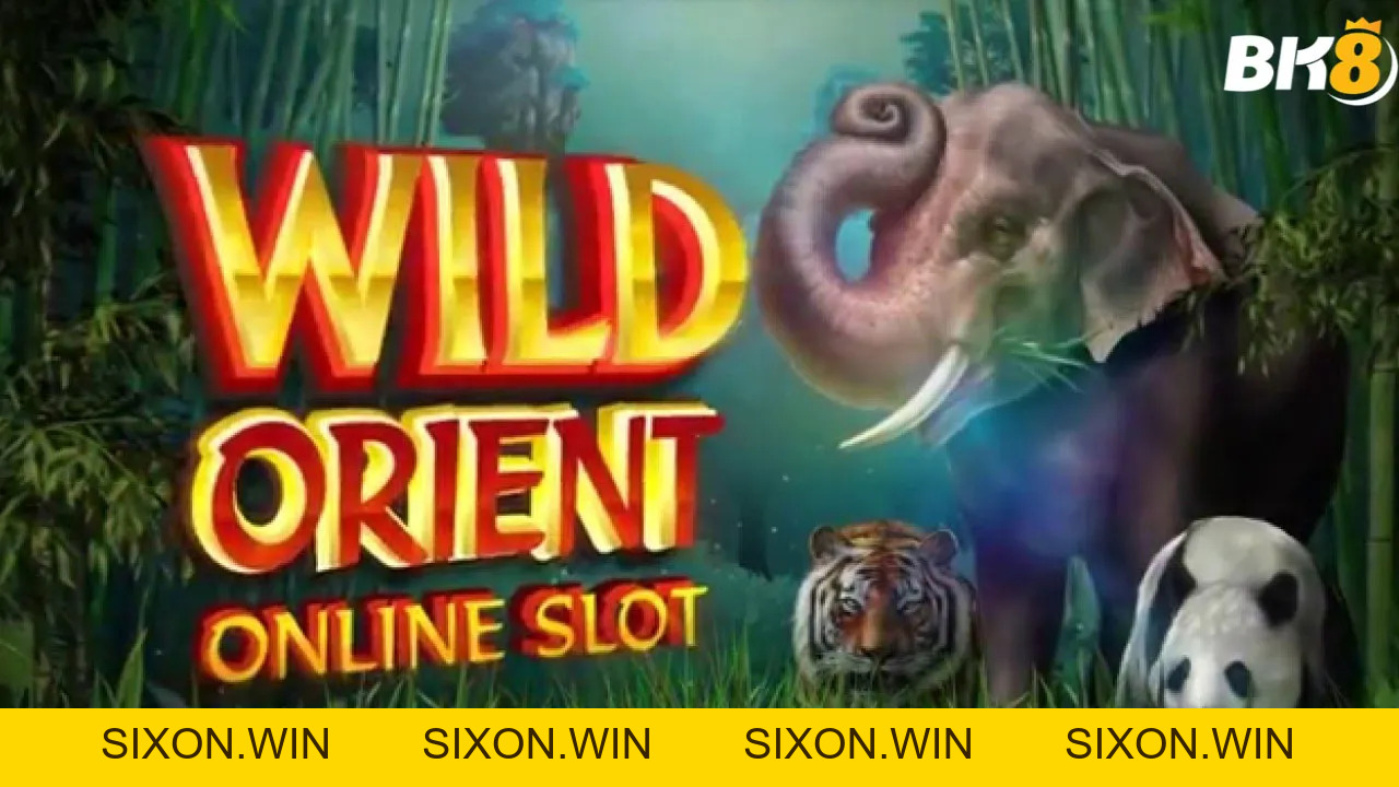 Bật mí cách chơi Wild Orient slot chi tiết cho người mới